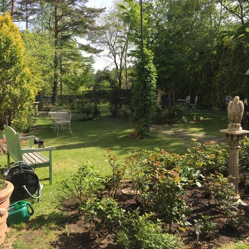 5月の庭１