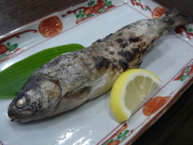 ニジマスの塩焼き（魚料理一例）