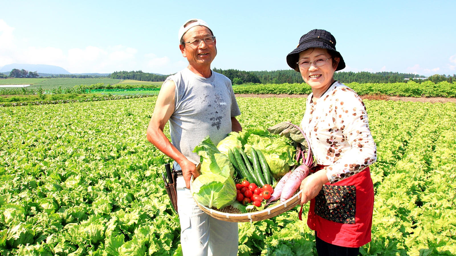 地元野菜