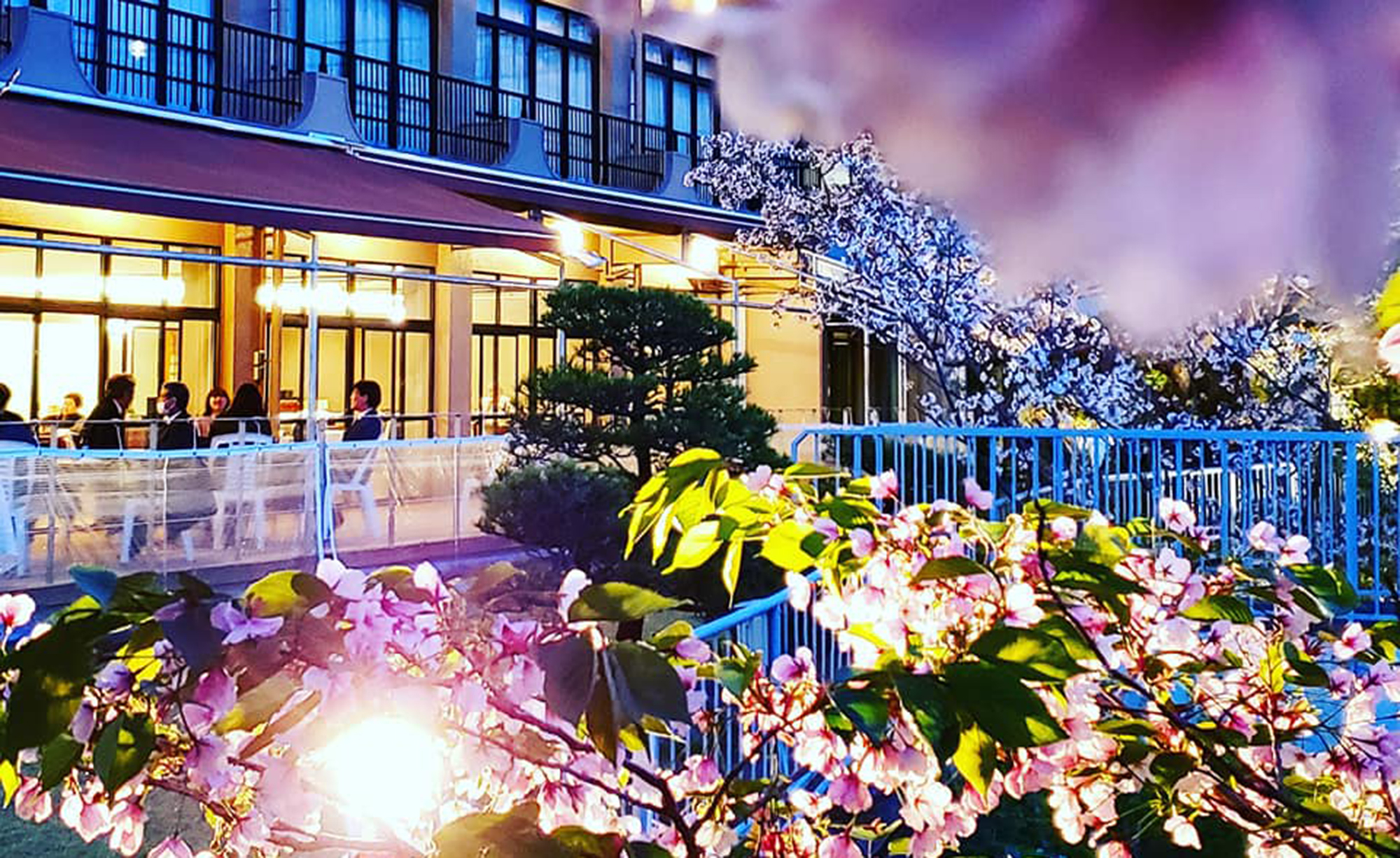 桜の時期にはレストラン、ロビー、屋外テラスから当館自慢の桜を見ることができます。