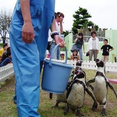 【越前松島水族館】