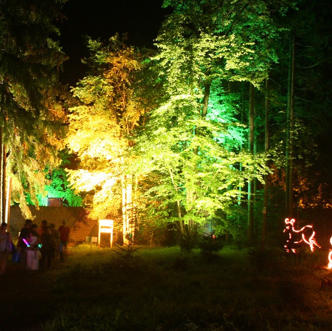 【音と光のファンタジー花火 in KAGURA】ダイナミックな花火と幻想的な光の祭典