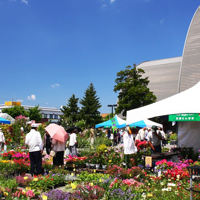 【花フェスタ】旭川大雪アリーナを舞台とした大規模な花の祭典