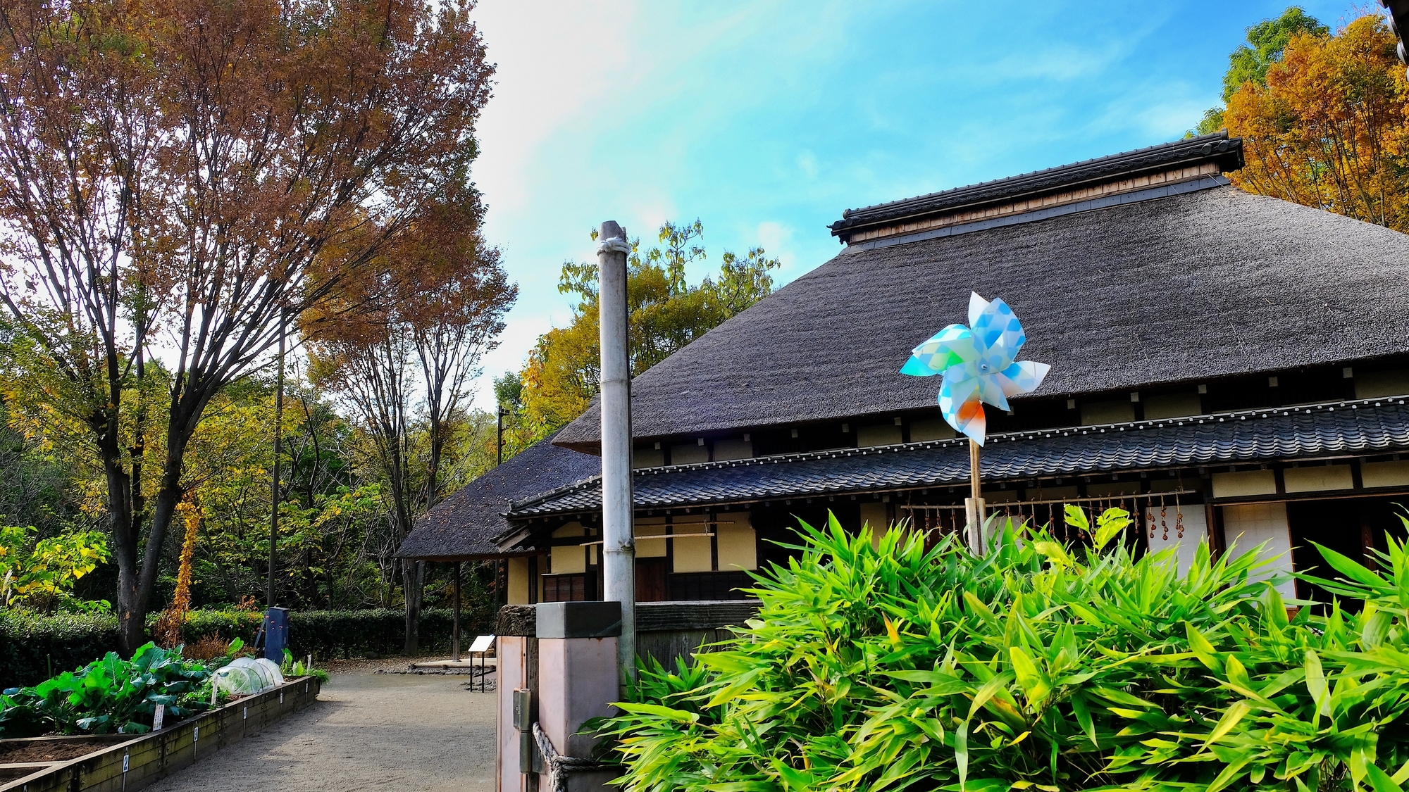 【当館から徒歩で20分】赤羽自然観察公園：都会の中で自然と触れ合える公園です
