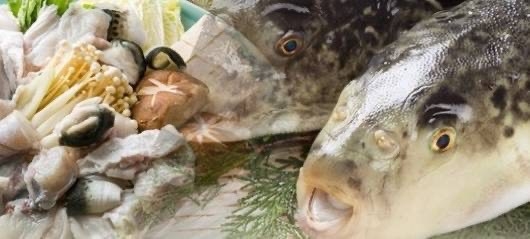 【　部　屋　食　ふ　ぐ　満　喫　プ　ラ　ン　 】　露天風呂オーシャンビュー♪♪