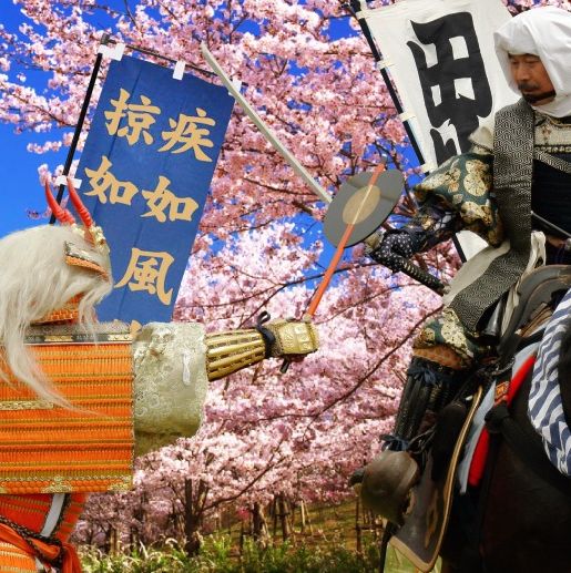 上杉祭り～春　桜の見ごろは４月上旬～中旬