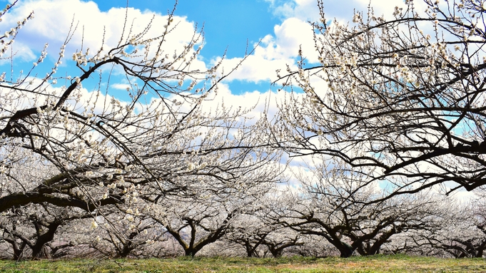 【春の群馬を満喫！】一泊二食付きバイキングプラン