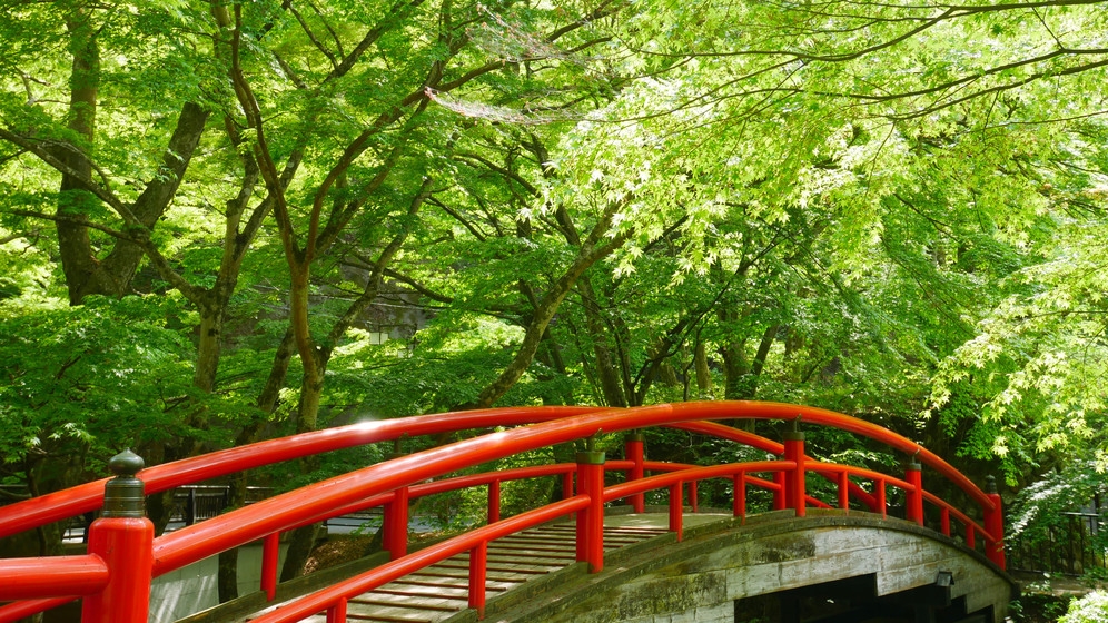 「河鹿橋」の新緑を散策！！一泊二食バイキングプラン