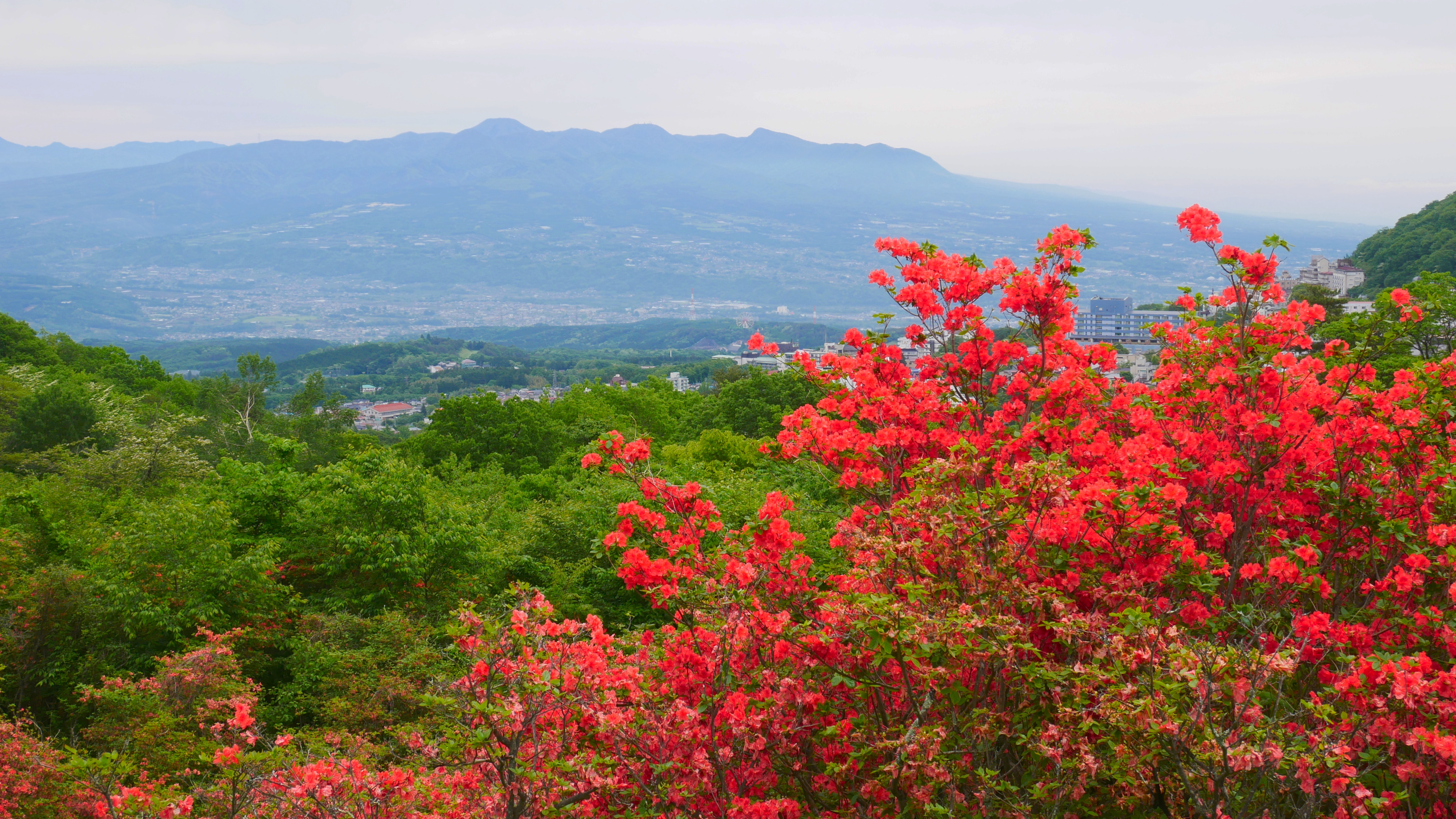 長峰公園