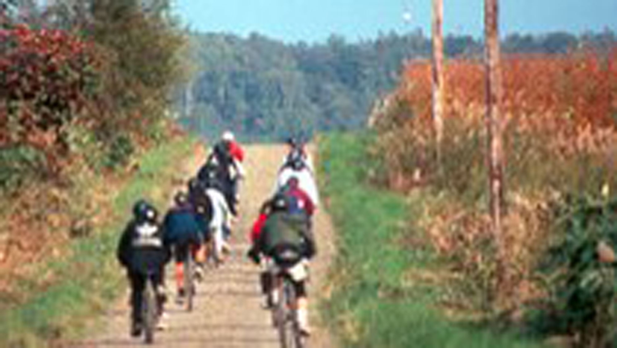 【マウンテンバイク】