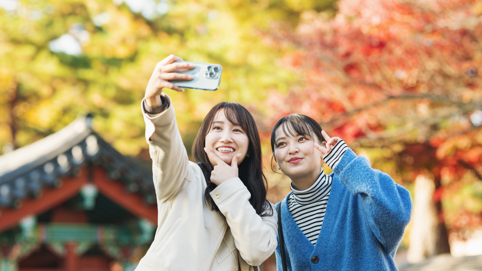 情緒あふれる奈良散策をお楽しみください