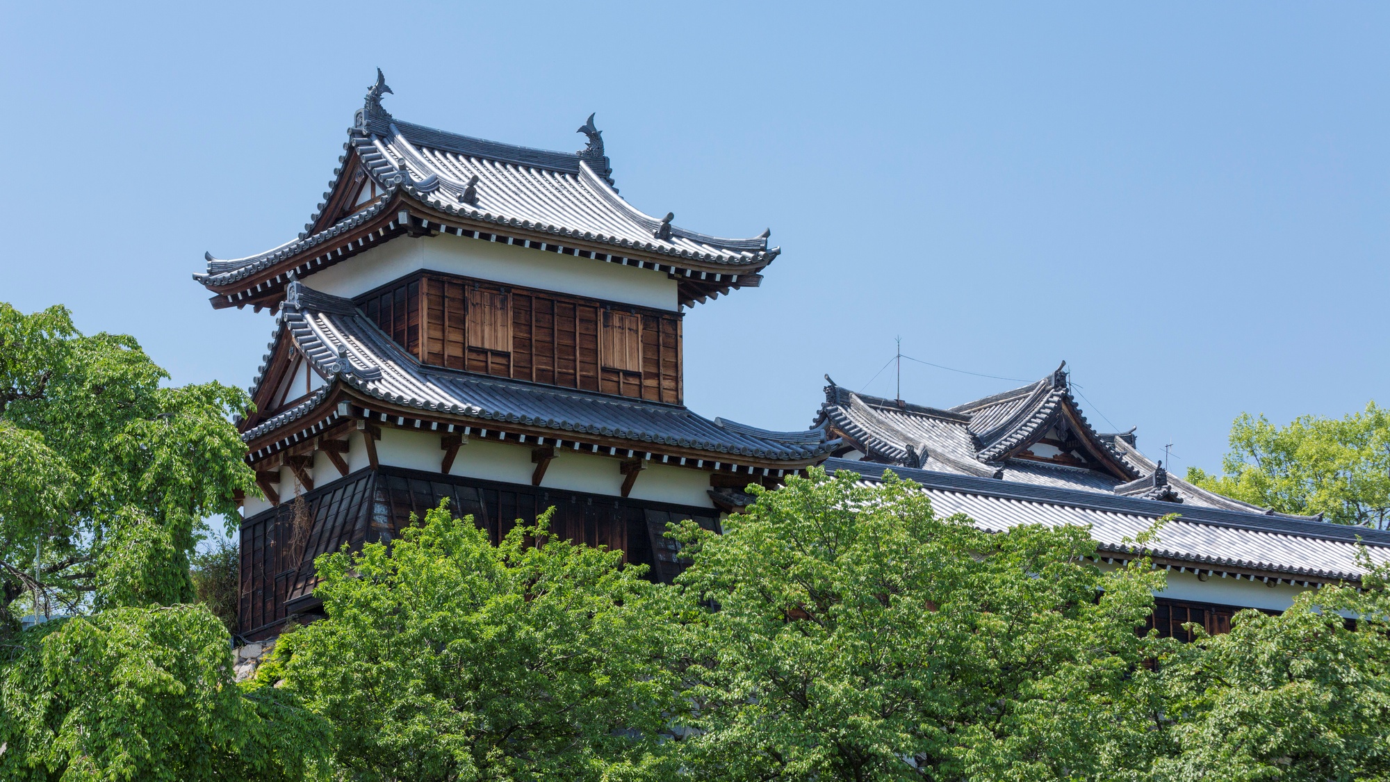 【郡山城跡】当館から車で7分