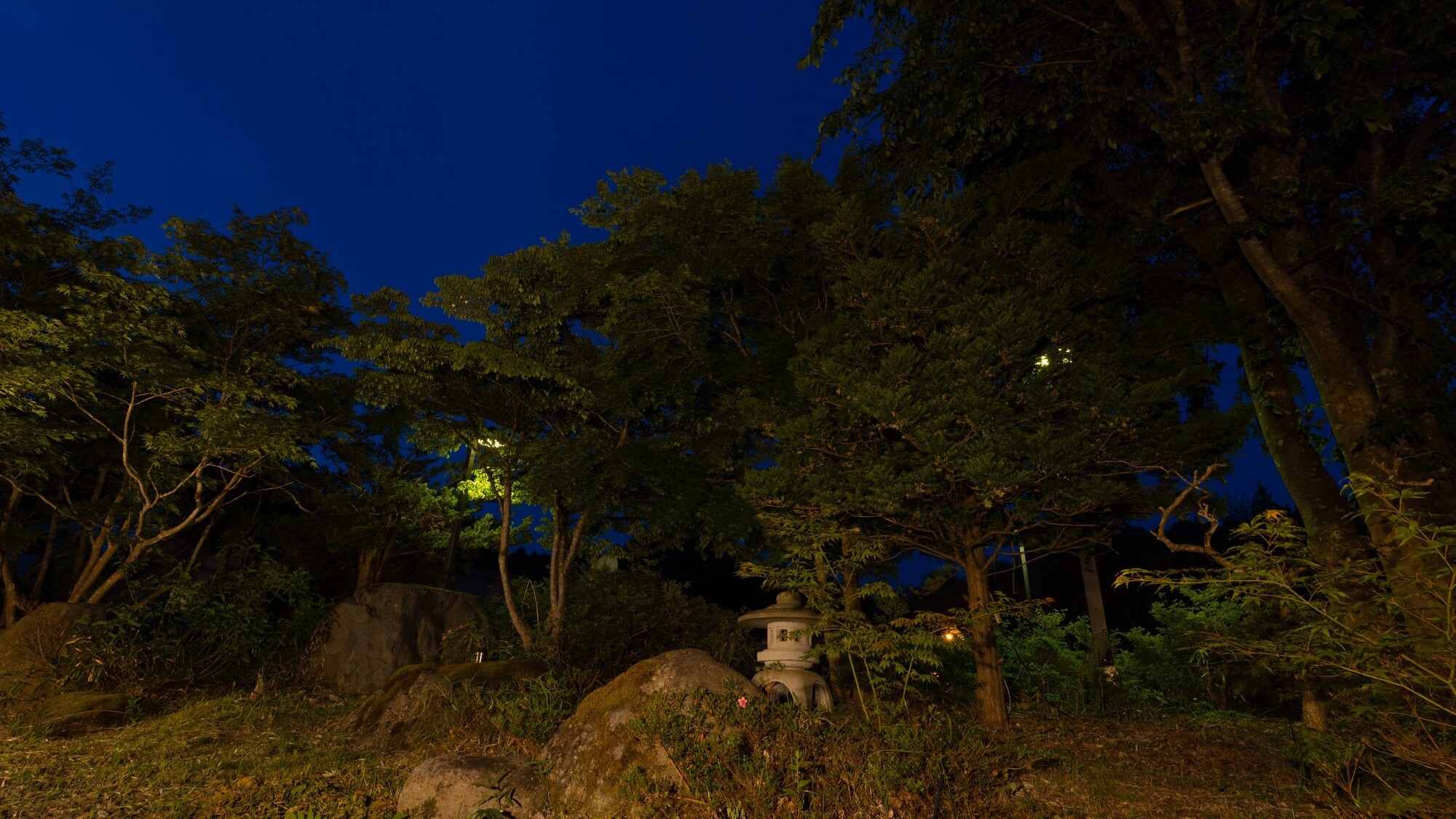 ラウンジの庭園　夜