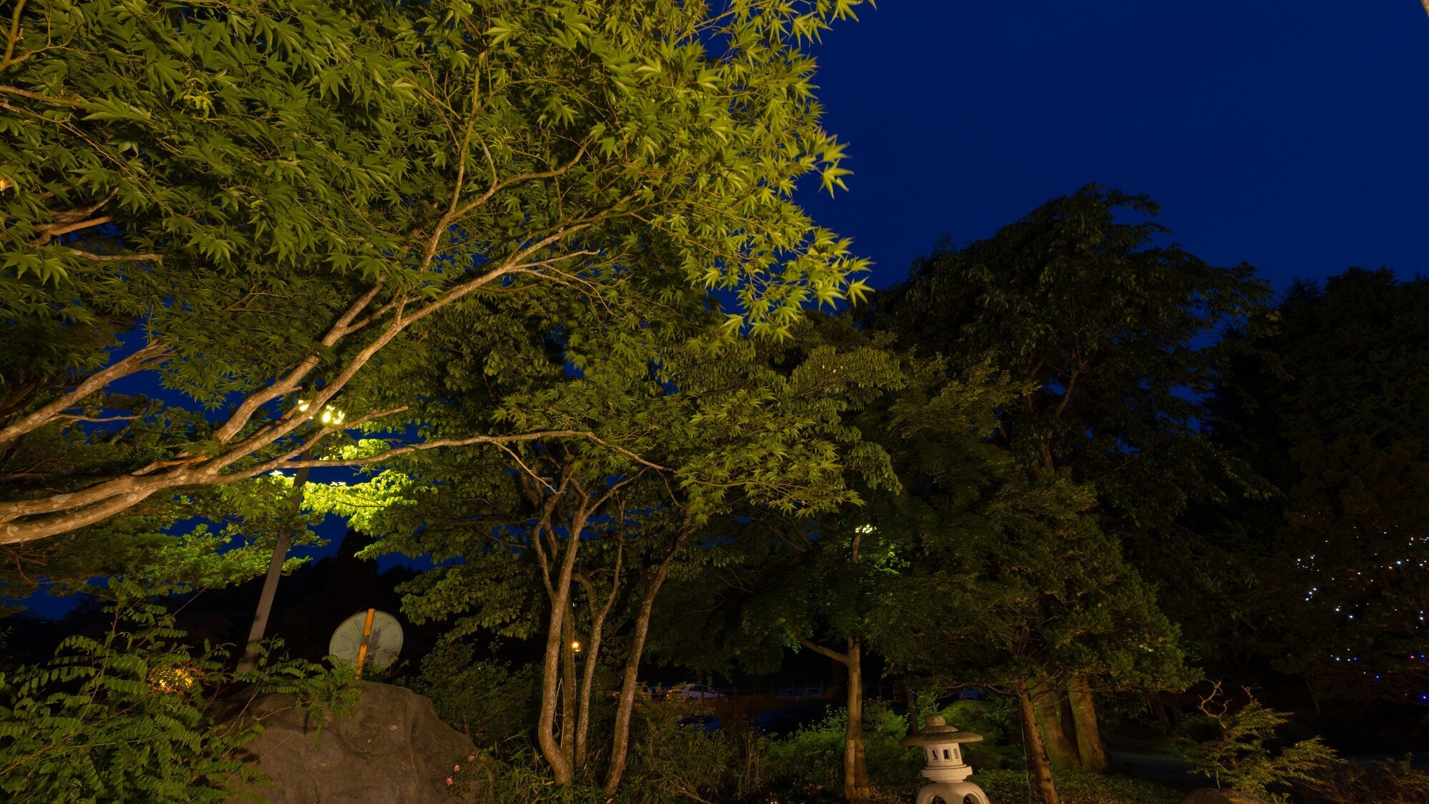 ラウンジから望む庭園　夜