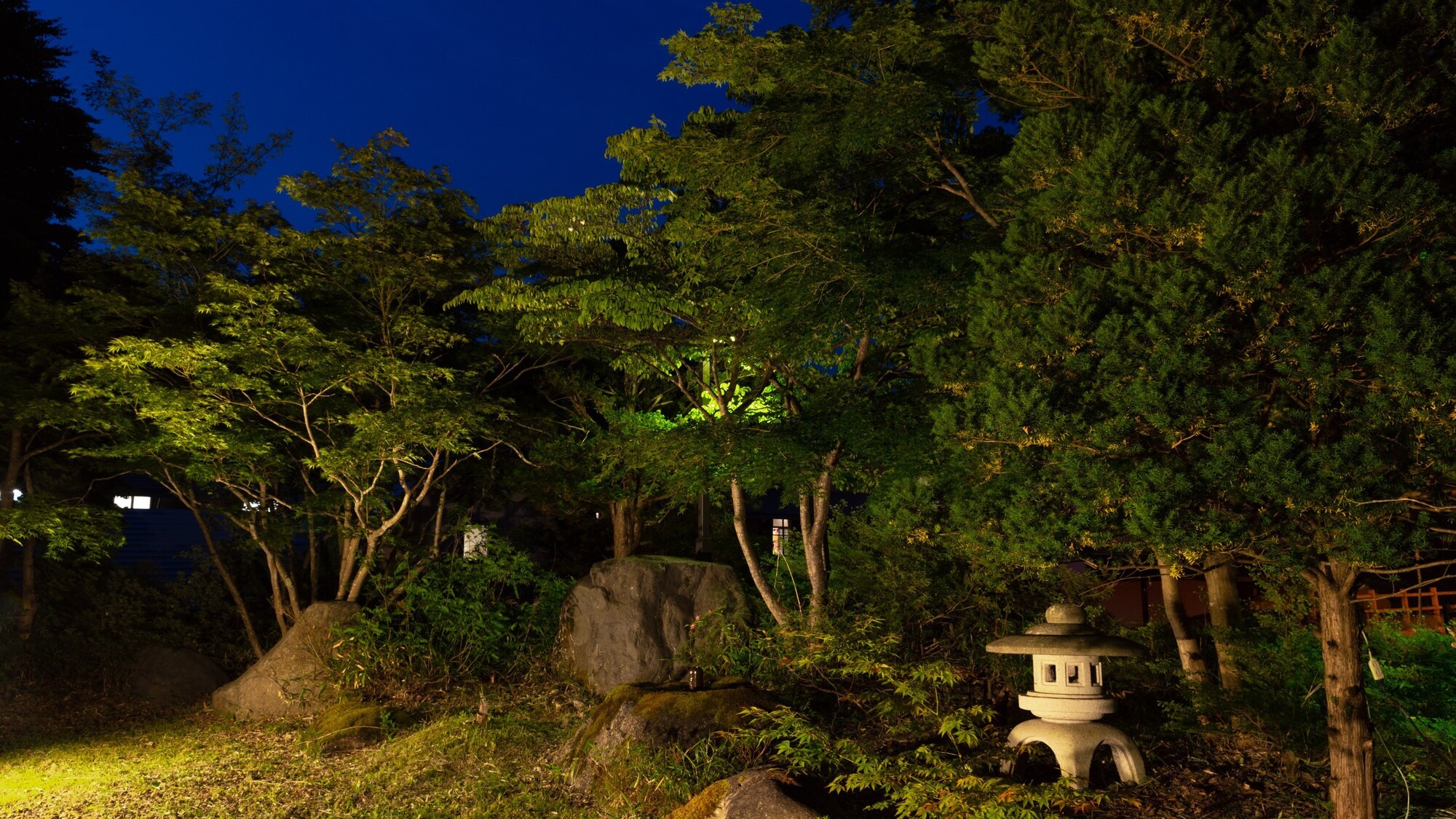 ラウンジから望む庭園　夜