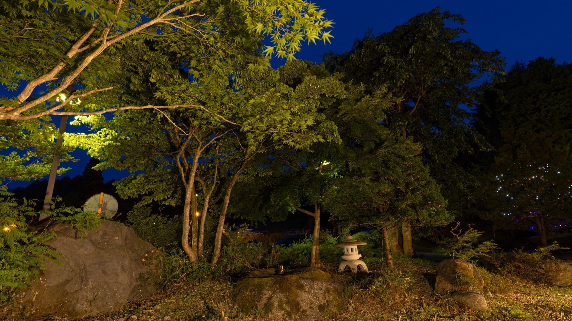 ラウンジから望む庭園　夜