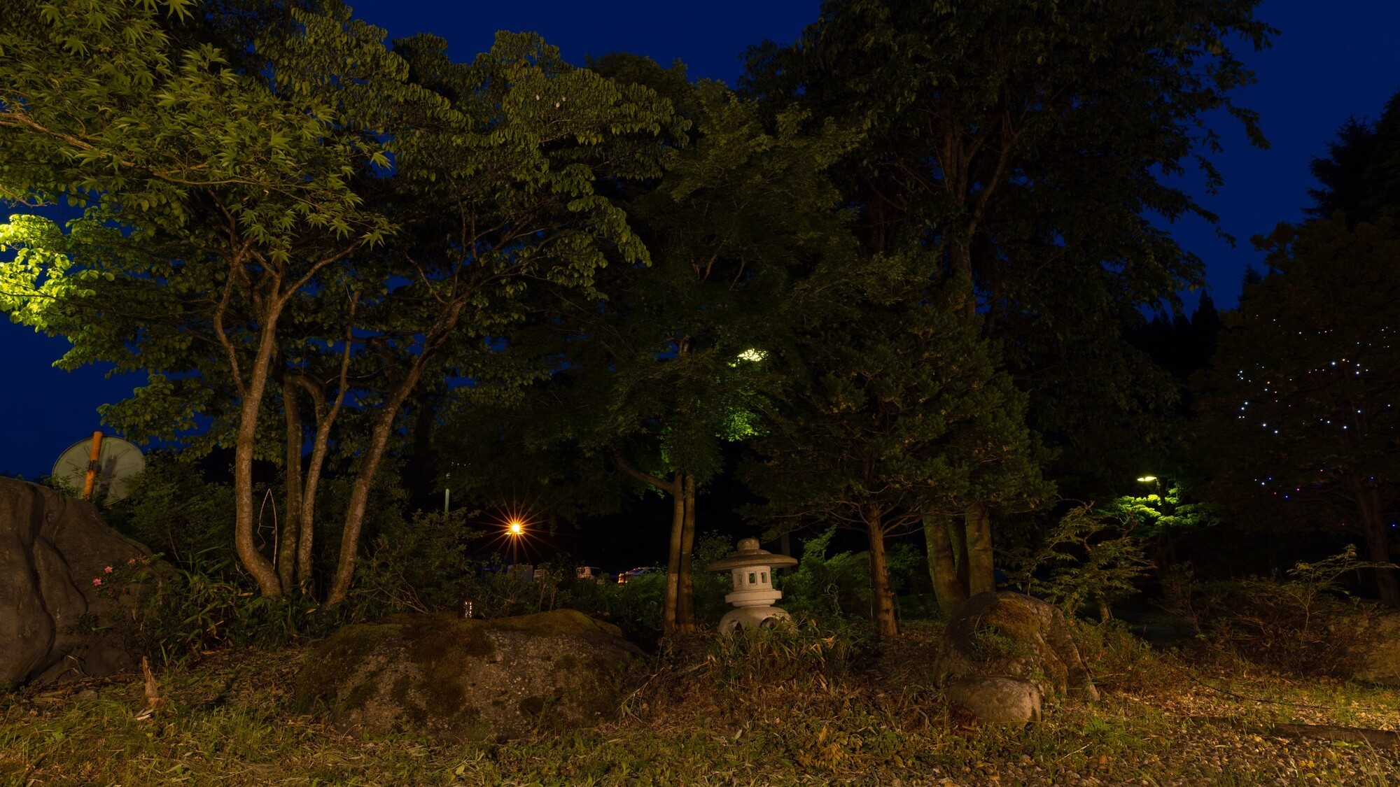 ラウンジの庭園　夜