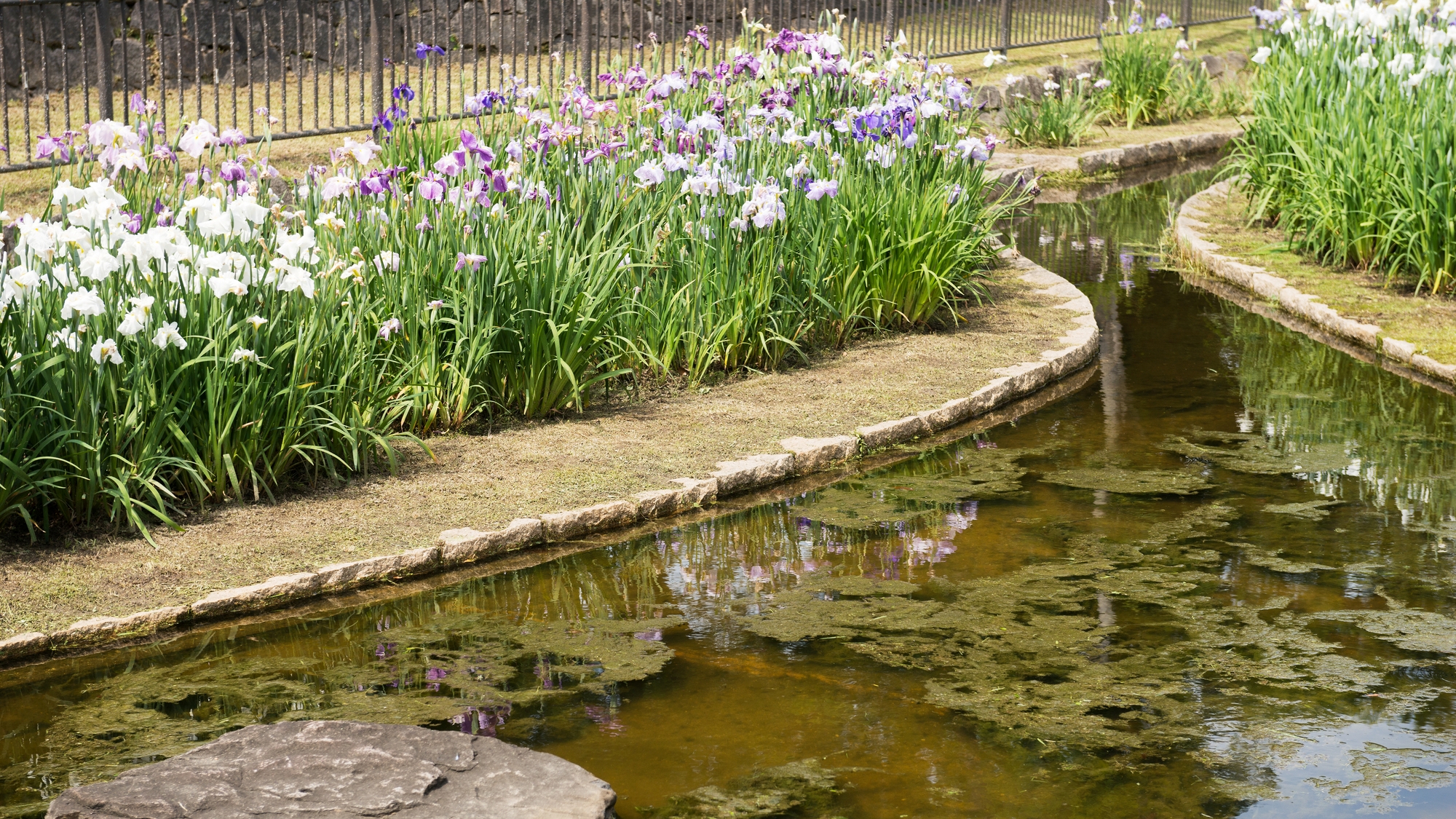 【大浜公園】当館から徒歩で15分