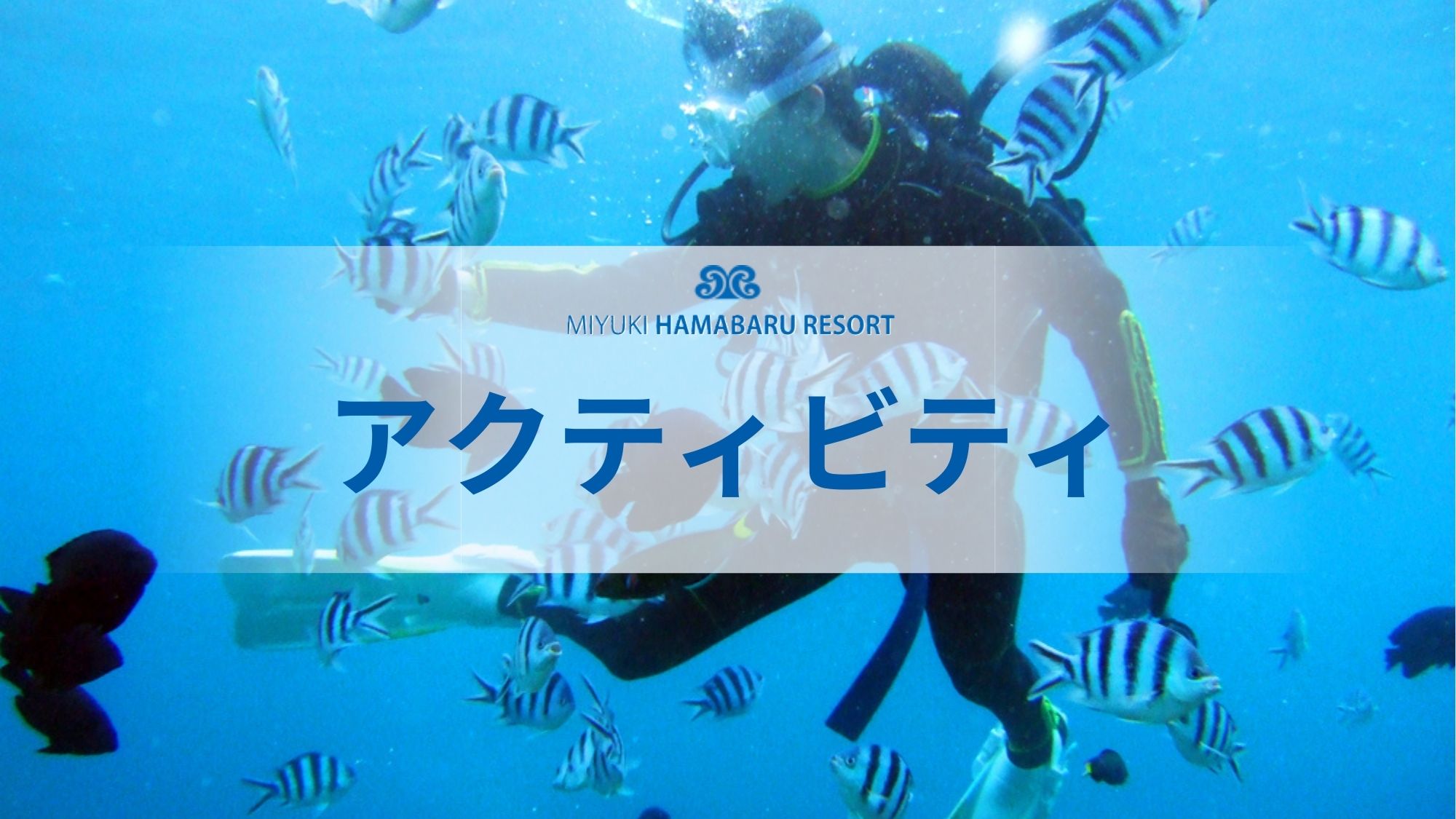 【アクティビティ】