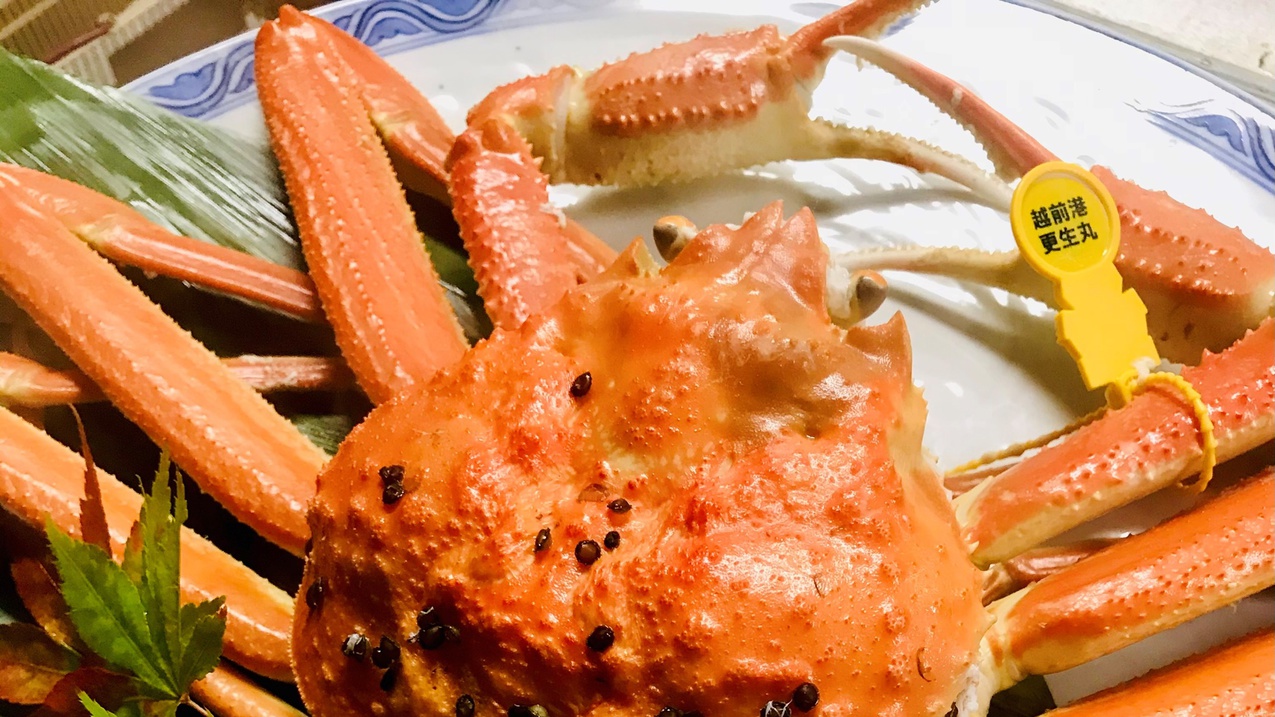 【越前ガニ付き会席｜2食付】北陸からお届けする本場の蟹！茹でガニ１杯付き（個室食）