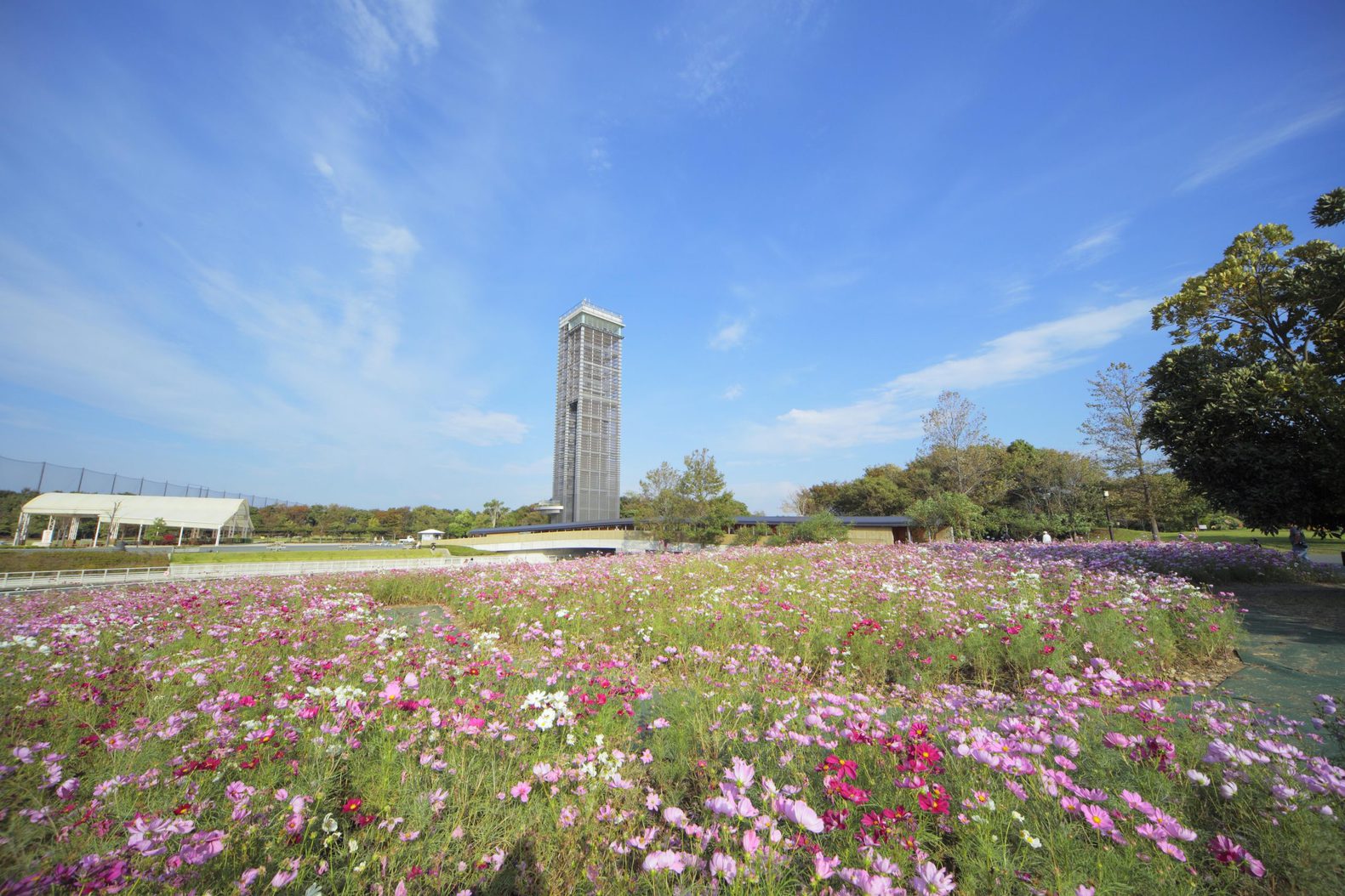 〜レイクハマナ デジタル田園都市〜【浜名湖花博2024】セット入場券付き 【朝食ブッフェ無料】