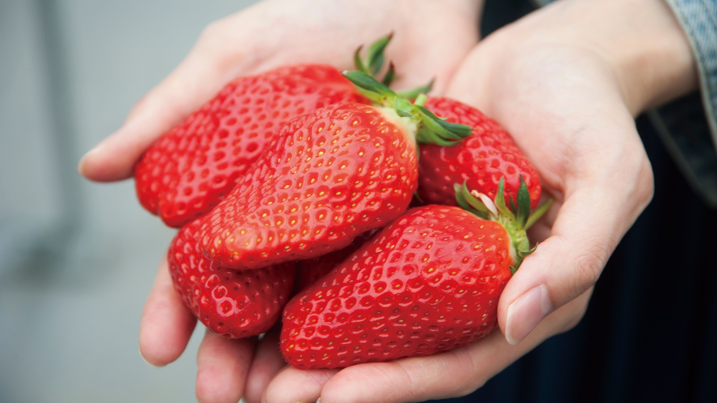 【お子様添い寝無料】 アグリス浜名湖いちご狩り入園券付♪ ≪朝食・駐車場無料♪≫