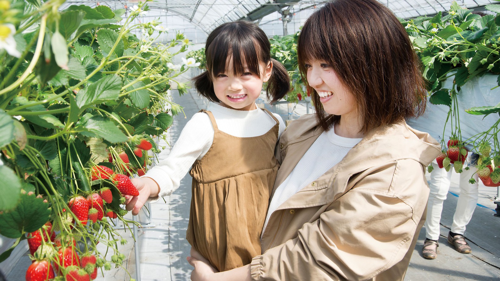 【お得に大満足！】 アグリス浜名湖いちご狩り入園券付♪ ≪朝食・駐車場無料♪≫