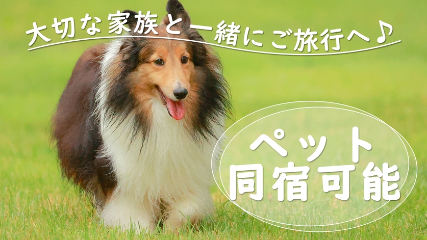 【1泊2食付き】日替わりディナーで楽しむ♪出張・ひとり旅にちょうどいいカジュアルステイ