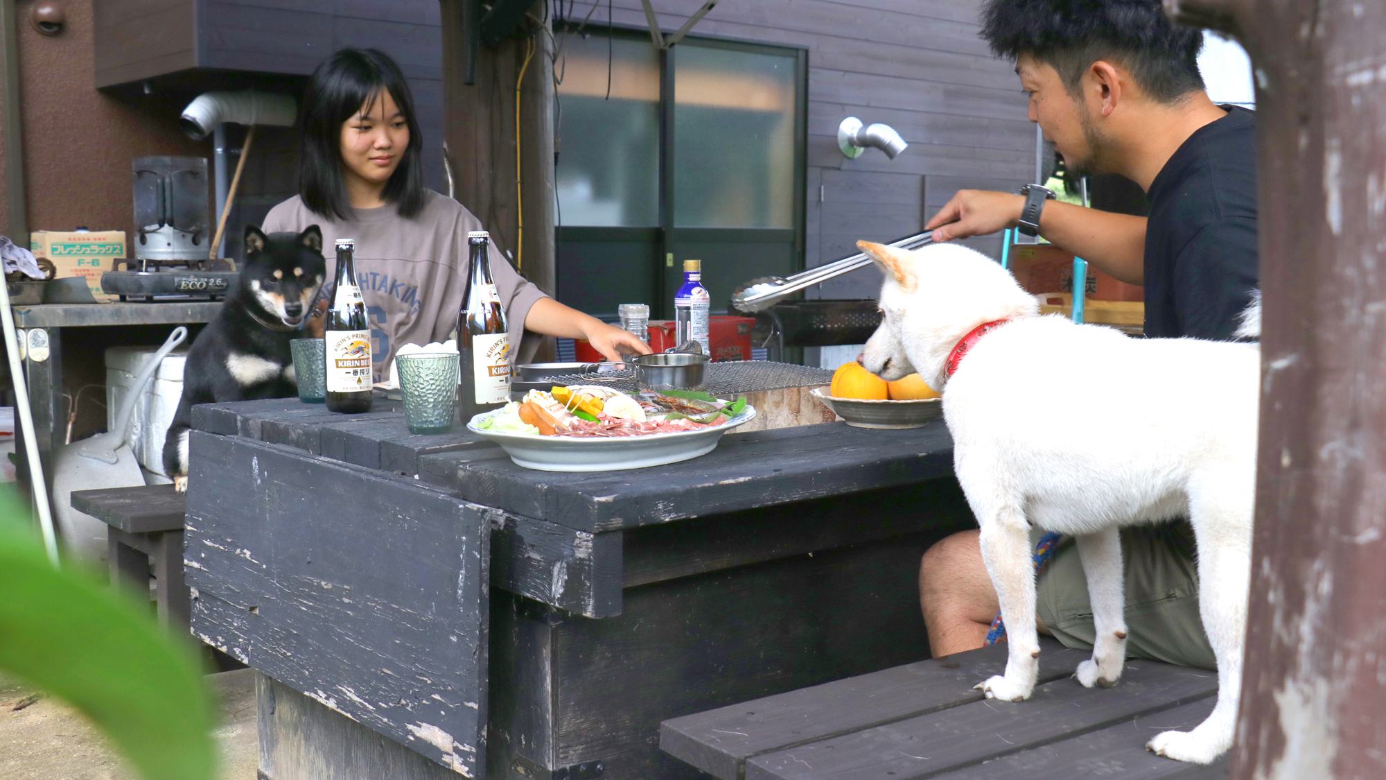 屋外BBQでワンちゃんとお食事時もご一緒に