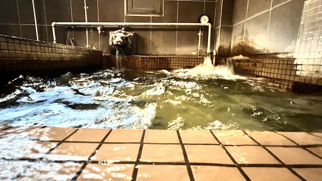 カプセル&サウナロスコ（旧：カプセルイン駒込） 宿泊予約【楽天トラベル】