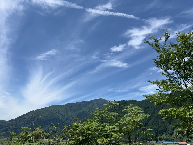 愛宕山から見える花渕山（初夏）