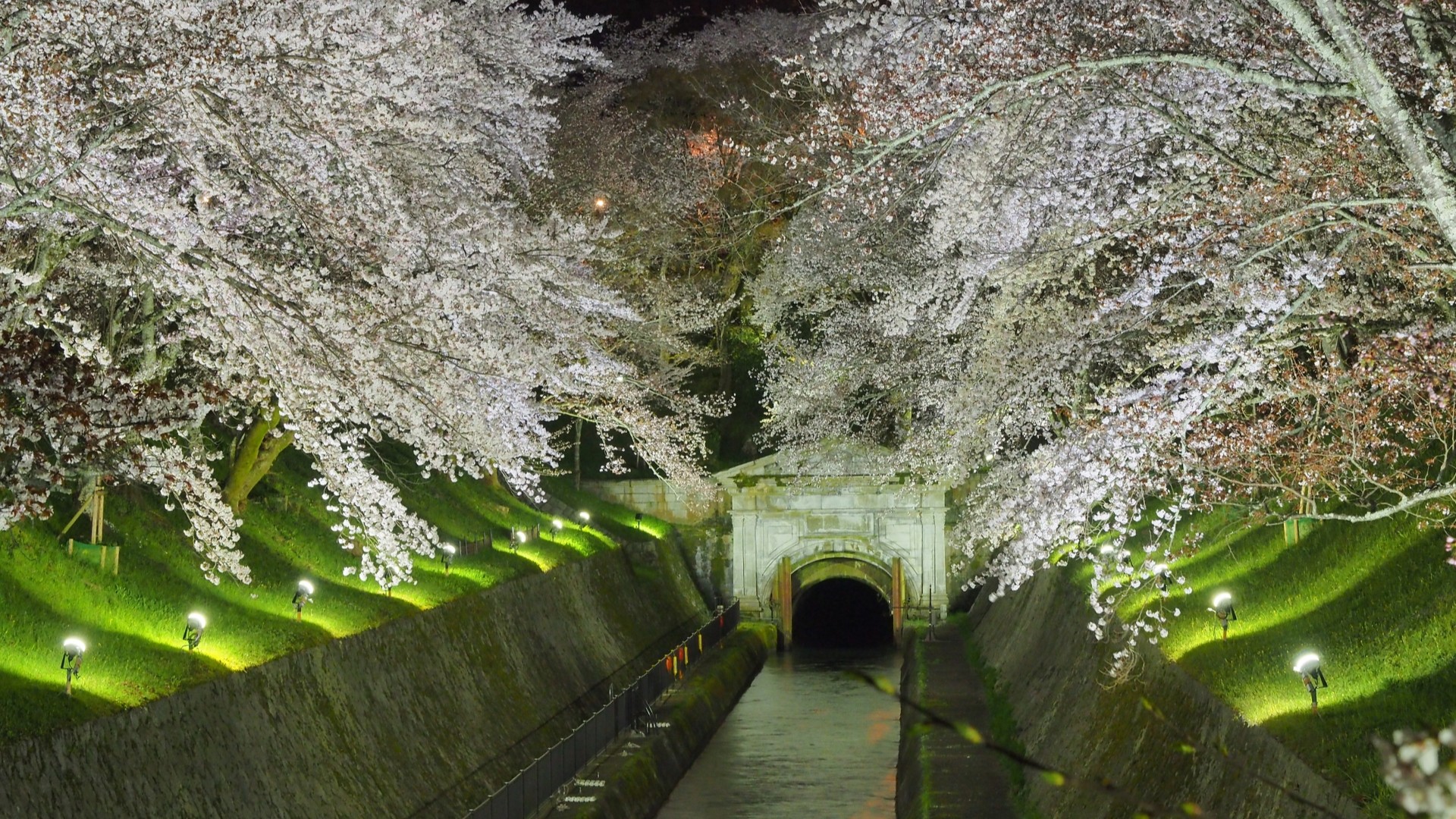 【当館から車で約20分】琵琶湖第一疏水