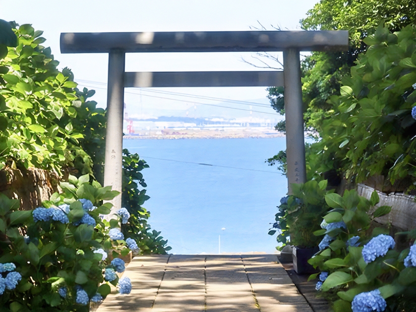 【期間限定｜送迎無料】名物うしお鉄板焼を食し、酒列磯前神社「あじさい詣」へ（うしおA）