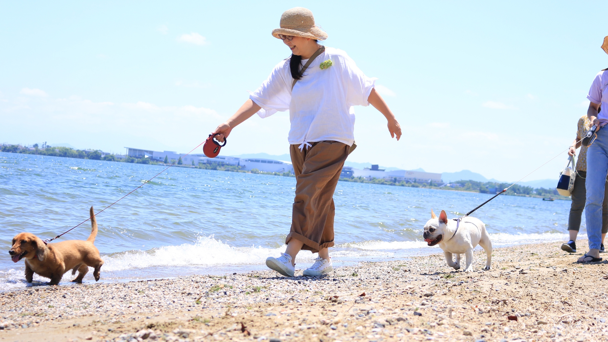 人もペットも笑顔になれる宿　宿屋　きよみ荘