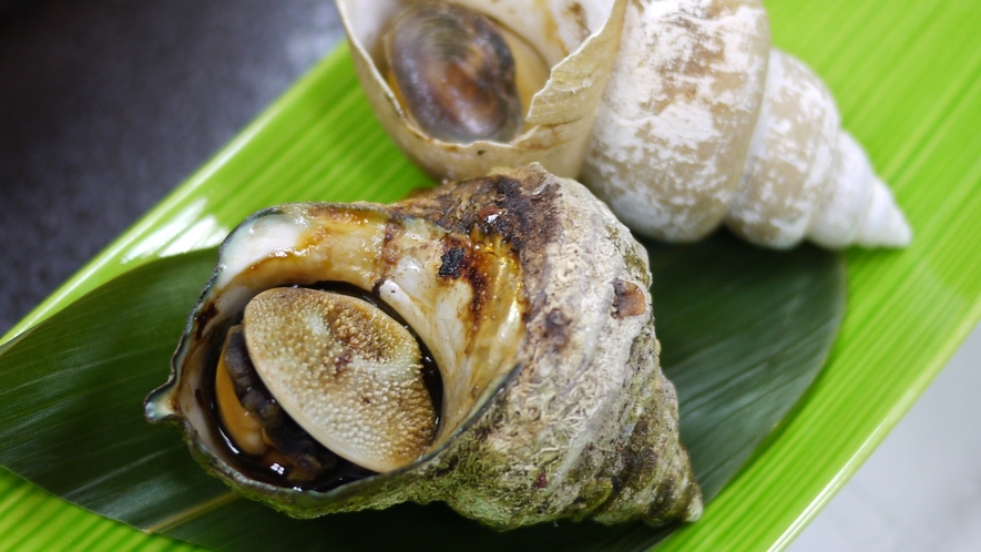 *【夕食一例】素材本来の味を楽しめるサザエとバイ貝。