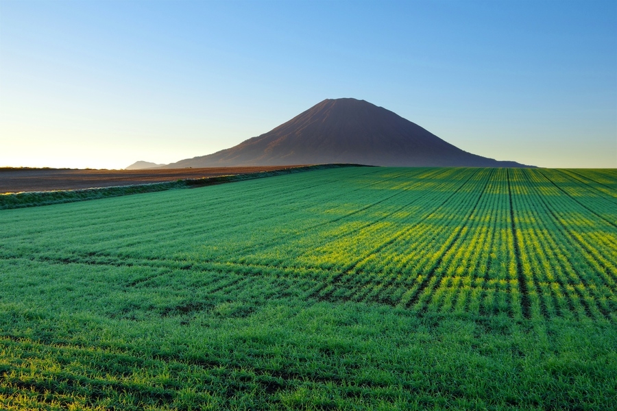 グリーンシーズン2026【エキストラベッドプラン】エキストラベッド使用でお得に宿泊！【素泊まり】