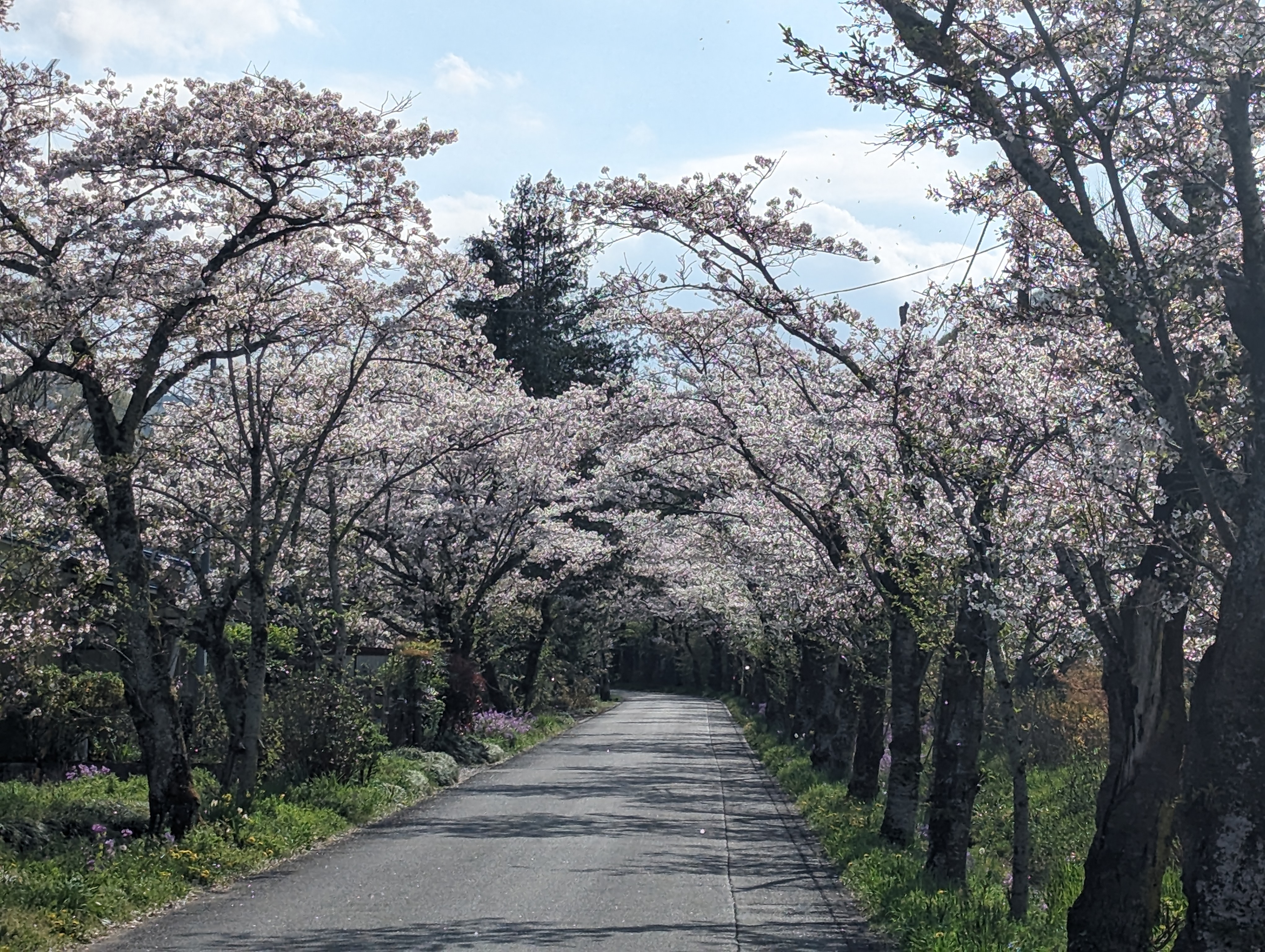 太平山