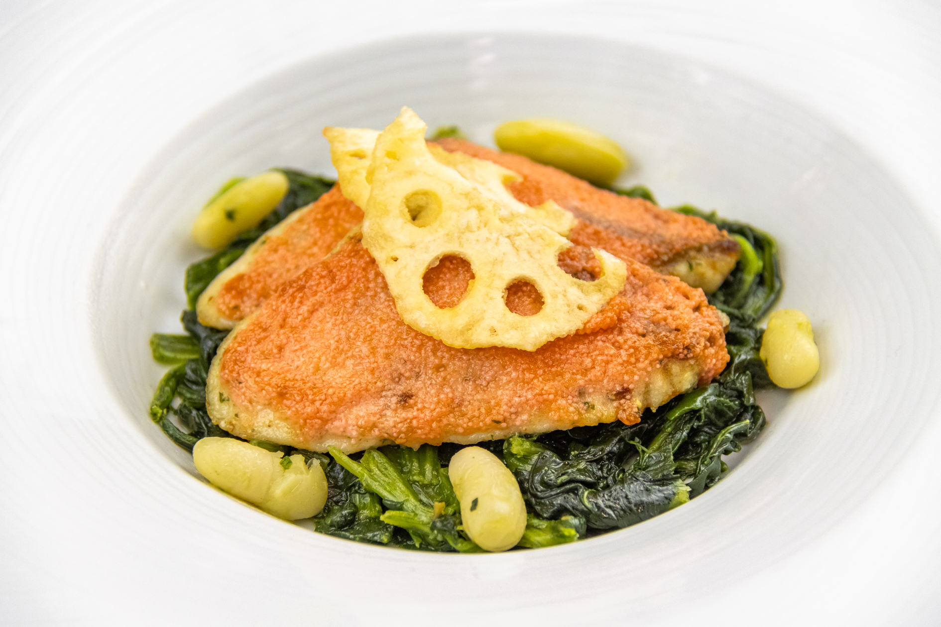 ランチメニュー一例