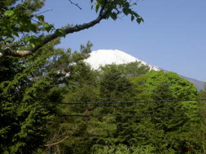 やっぱり富士山