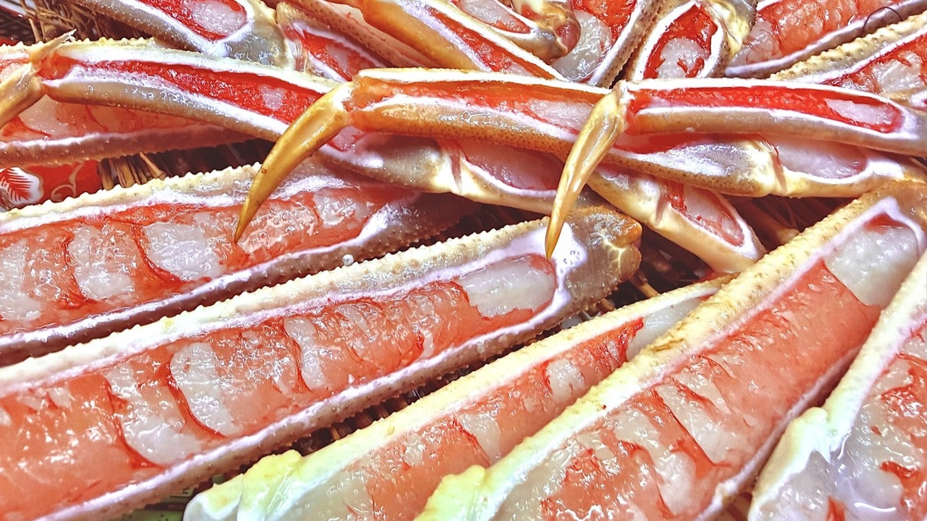 【タグ付き！活蟹刺し+焼き蟹2倍に増量】炭火焼き松葉がにコース♪《甲羅みそ付》