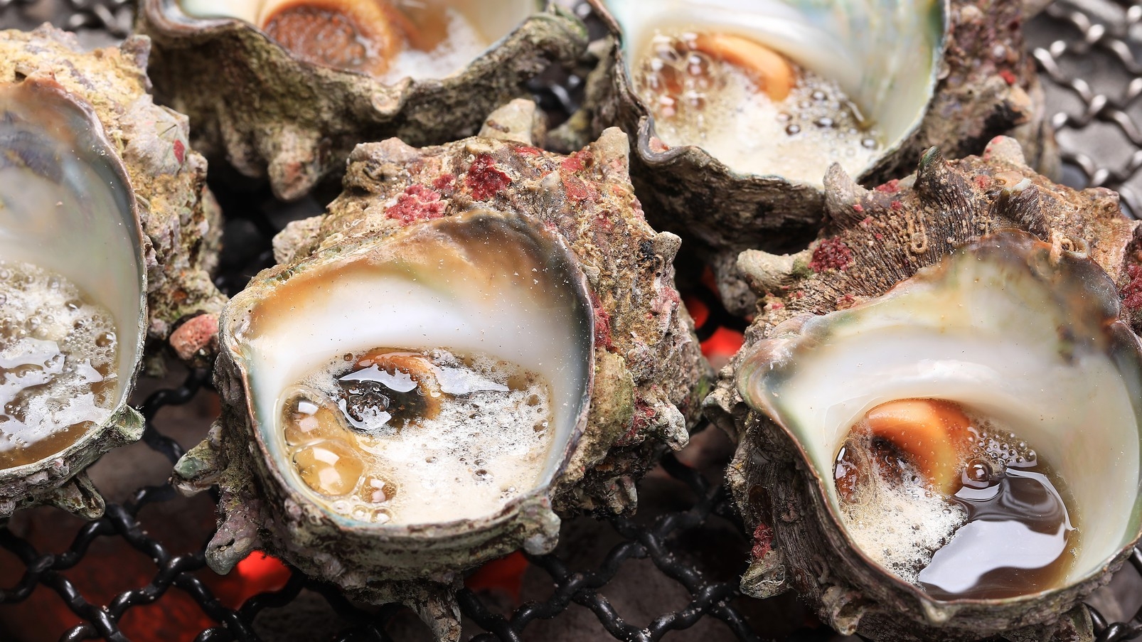 【夏★海幸の饗宴】活烏賊×炭火海賊焼き+のどぐろ塩焼き！香住の海を味わう♪『特価☆現金決済専用』