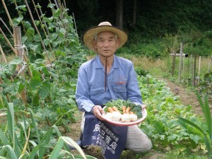 自家製野菜