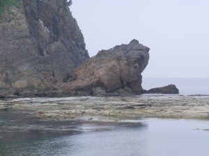 かえる島