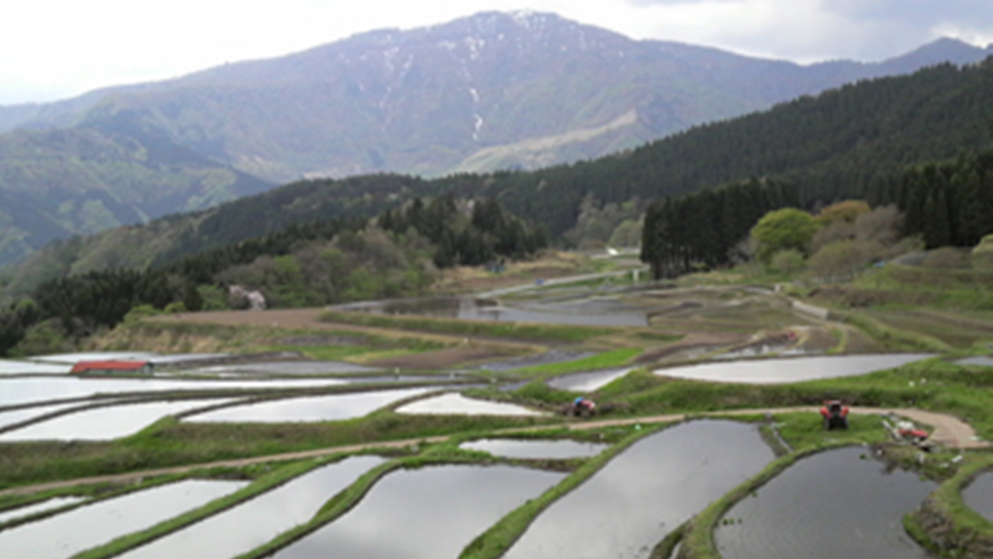 別宮の棚田