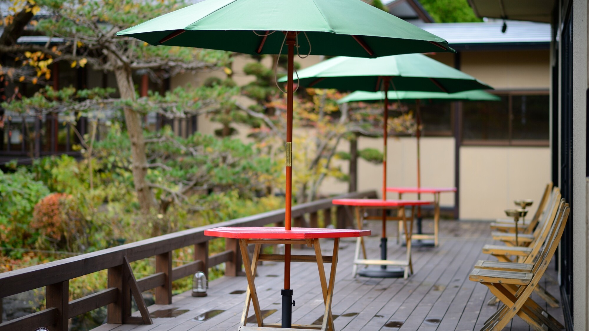 紅葉に囲まれたテラスで、ゆっくりと深呼吸