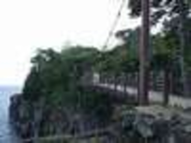 伊豆高原に来たら、誰もが立ち寄る城ヶ崎の吊り橋、高さ２３ｍ、目がくらむー