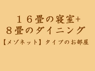 １６畳の寝室+８畳のダイニング【メゾネットタイプ】