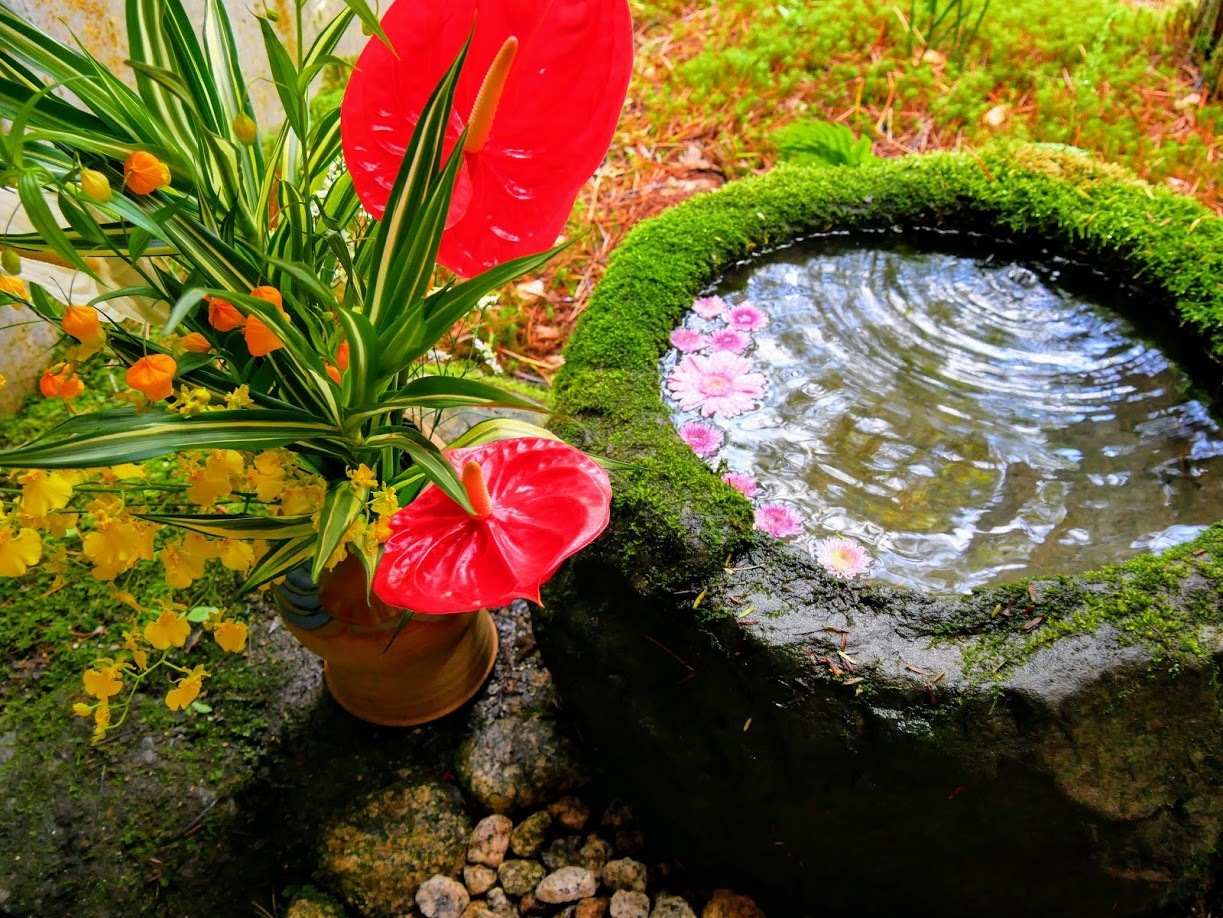 ＊３日間限定《本尊赤不動尊特別御開帳にご案内》客殿「五大」素泊まり