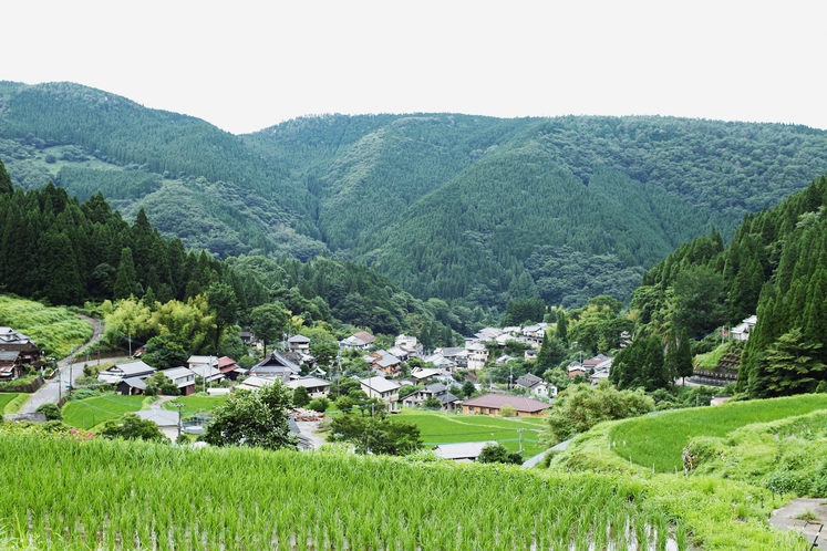 【湯平の棚田】温泉街から少し離れた棚田からの眺め