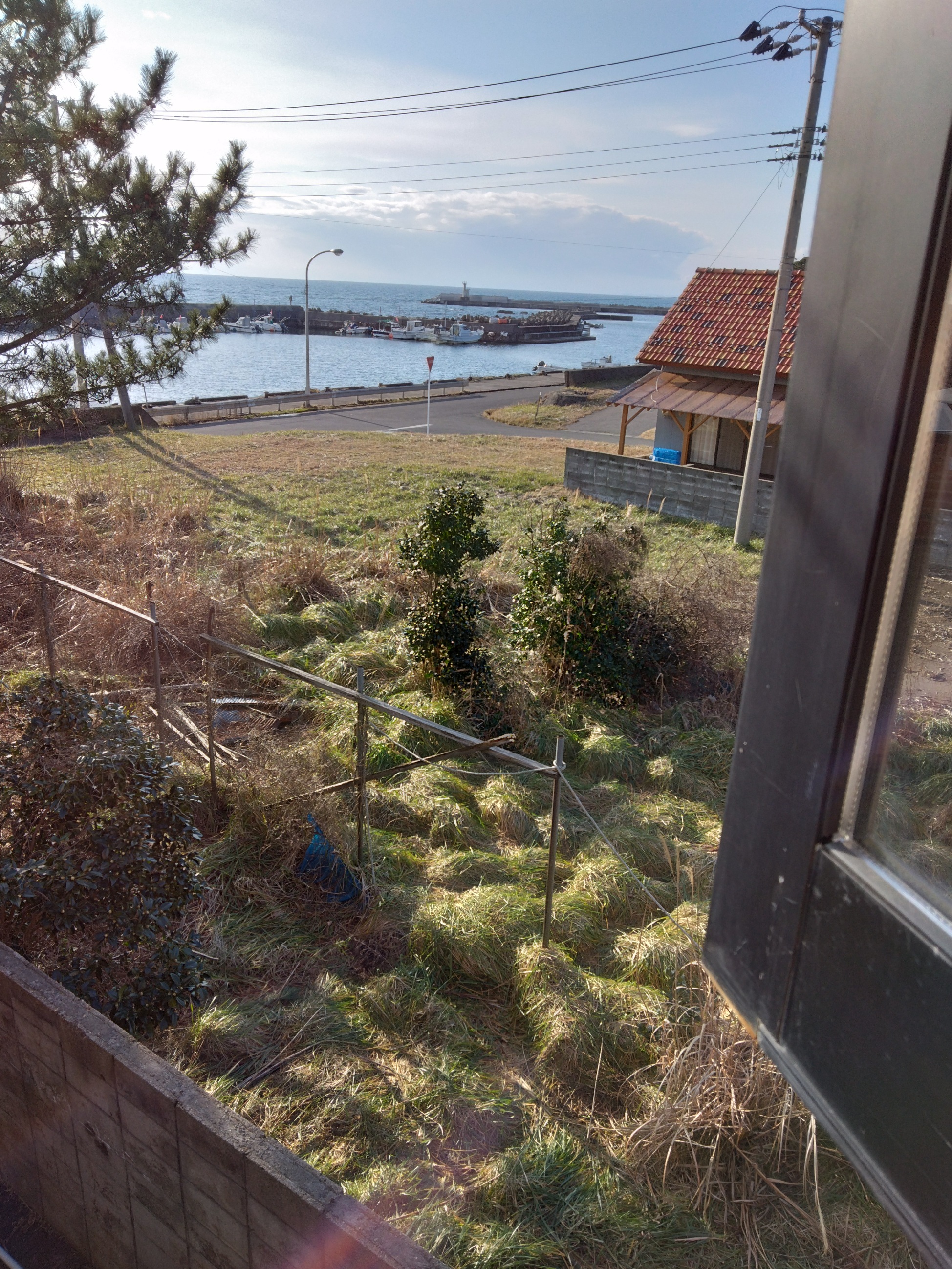 2F和室からの風景